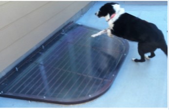 Polycarbonate window well covers can keep pets out of window wells