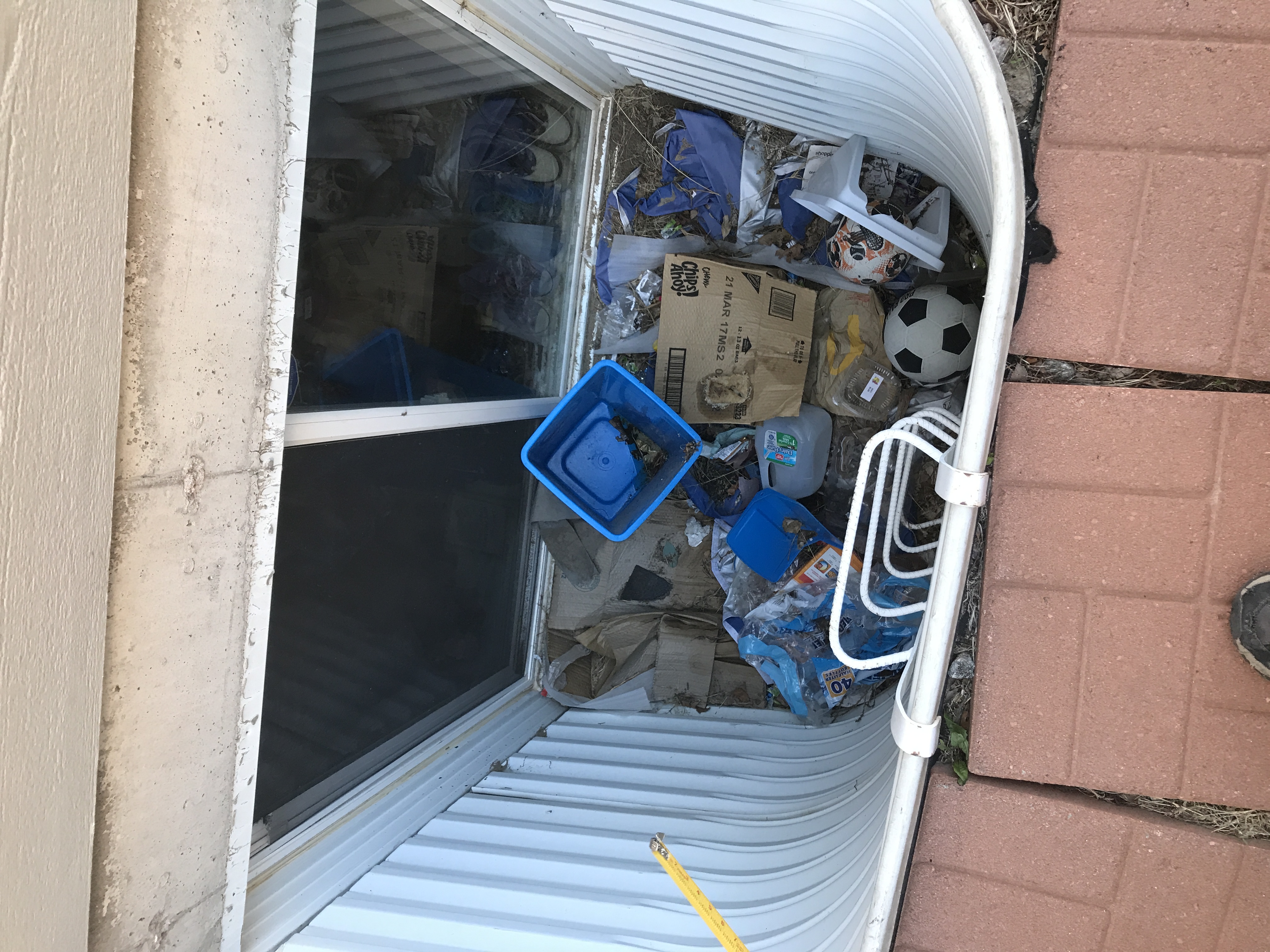 Trash and soccer ball in a window well